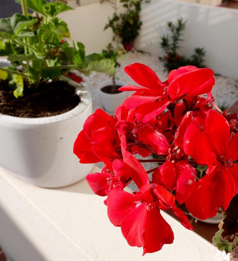 B&B Casa Louisa, Torre Del Mar- Valleniza Велес-Малага Екстериор снимка